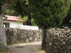 久高島めぐり。