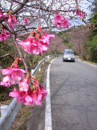 八重岳