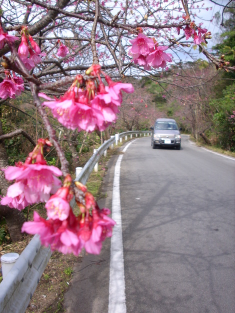 八重岳