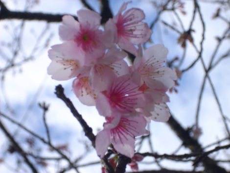 いい天気・・