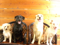 さーて今月もやりましょ！！ 2009/03/12 13:56:01
