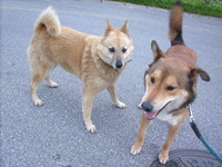 お友達・・・ 2009/07/24 06:50:51