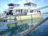 ランチBOX 2009/04/12 07:11:01