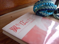 いつもと違うもの・・・ 2009/04/17 09:36:09