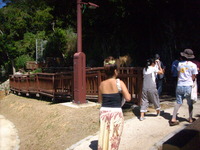 あらら・・！ 2009/09/13 06:45:35