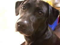 どうして・・？ 2009/10/22 17:32:34