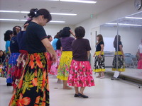 一周年です・・・！ 2009/11/26 07:29:58