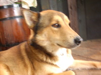 なんだか良いことありそう・・・ 2010/05/05 06:52:10