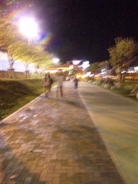 2009年02月26日