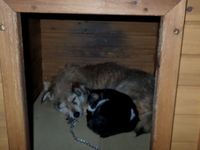 明けまして、おめでとうございます。 2013/01/04 01:20:25