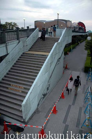 東京ディズニーリゾート液状化からの復活 ホタルの国から 久米島 南西諸島 沖縄の小さな島