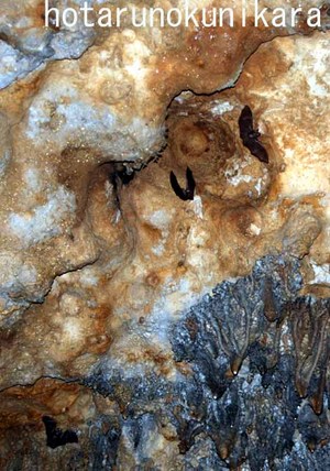 ヤジャーガマの洞窟探検