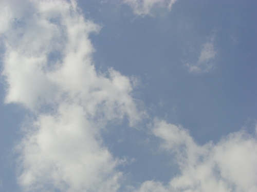 空を撮っちゃったり??