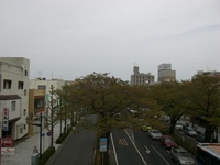 昨日のです。
