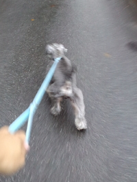 そらちん！ 2010/06/13 16:02:39