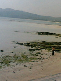 海 2006/01/03 14:02:46