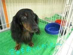 今朝のお泊りのお友達～～