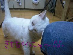 プリンセスちゃんの午後～～
