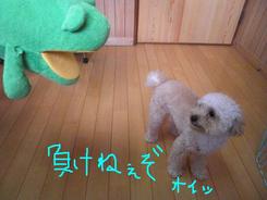 本日のトリミング～～