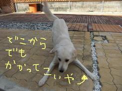 午後のスパイス～～