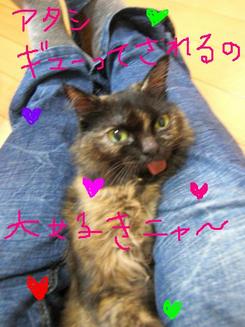 クロちゃんの4日目～～（朝）