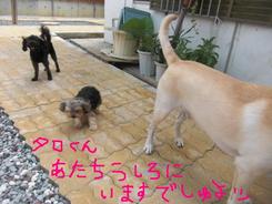 どんな午後を過ごしたかな？？