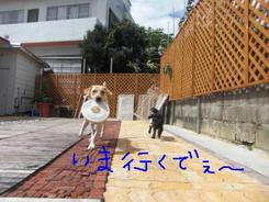 どんな午後を過ごしたかな？？