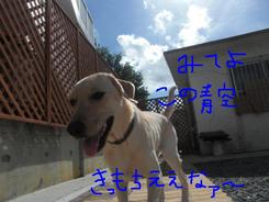 どんな午後を過ごしたかな？？