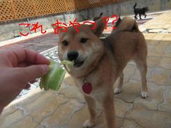 どんな午後を過ごしたかな？？