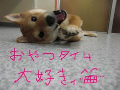どんな午後を過ごしたかな？？