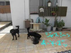 どんな午後を過ごしたかな？？