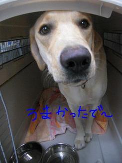 どんな午後を過ごしたかな？？