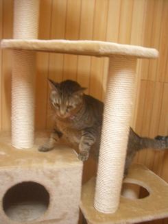 マディーの一日・・・・