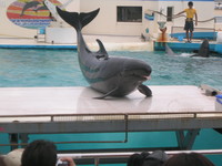 ミラクルねえさまへ 2008/08/27 21:14:45