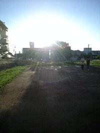 朝陽