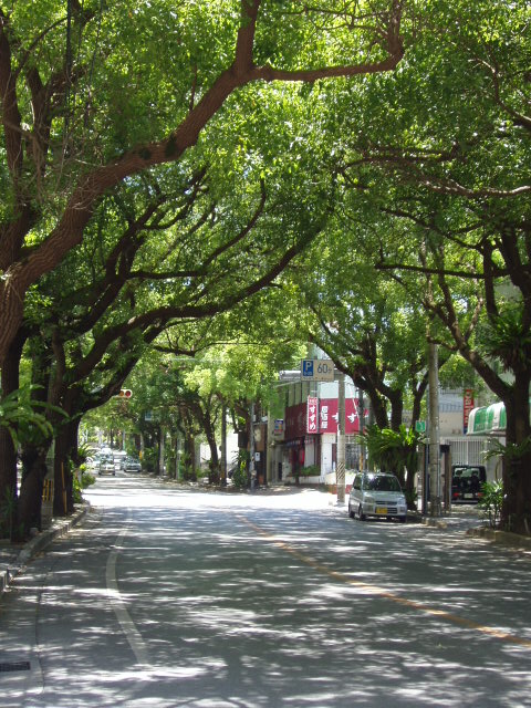 KOZAの入り口!! スタート♪