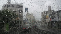 降ったりやんだり湿気高;-) 2010/04/19 15:36:55