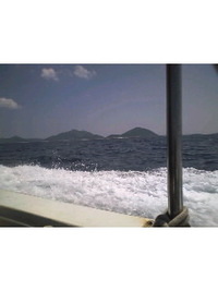 まだまだ 2011/04/02 11:50:33
