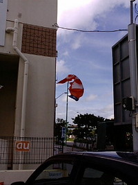 風が… 2008/09/30 15:56:18