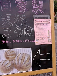 果たして 2008/10/06 16:56:54