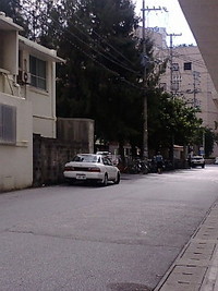 次回の狙い目 2008/11/06 13:46:12