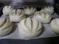お気に入り 2008/07/09 19:18:02