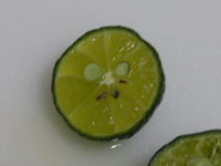 みずみずしい 2008/08/15 17:43:19