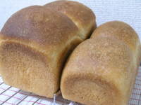 実験室 2008/09/21 02:39:10