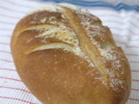 お待たせしました 2008/10/06 13:23:36