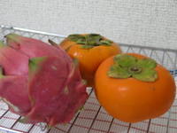 わらしべ長者 2008/10/26 14:30:47