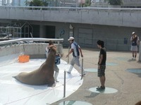 キスシーン 2012/11/04 13:15:00