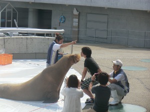 キスシーン