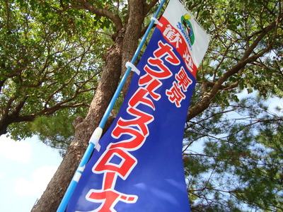ヤクルトキャンプ