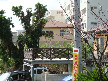 見学会の道順